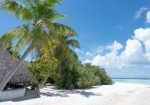 Unlock a Prime Investment Opportunity in Paradise!
