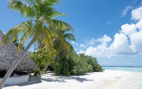 Unlock a Prime Investment Opportunity in Paradise!