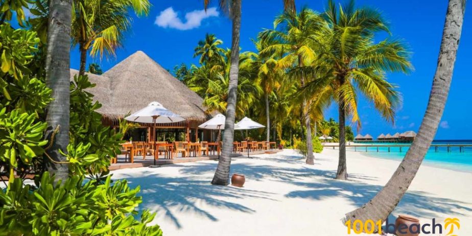 Unlock a Prime Investment Opportunity in Paradise!